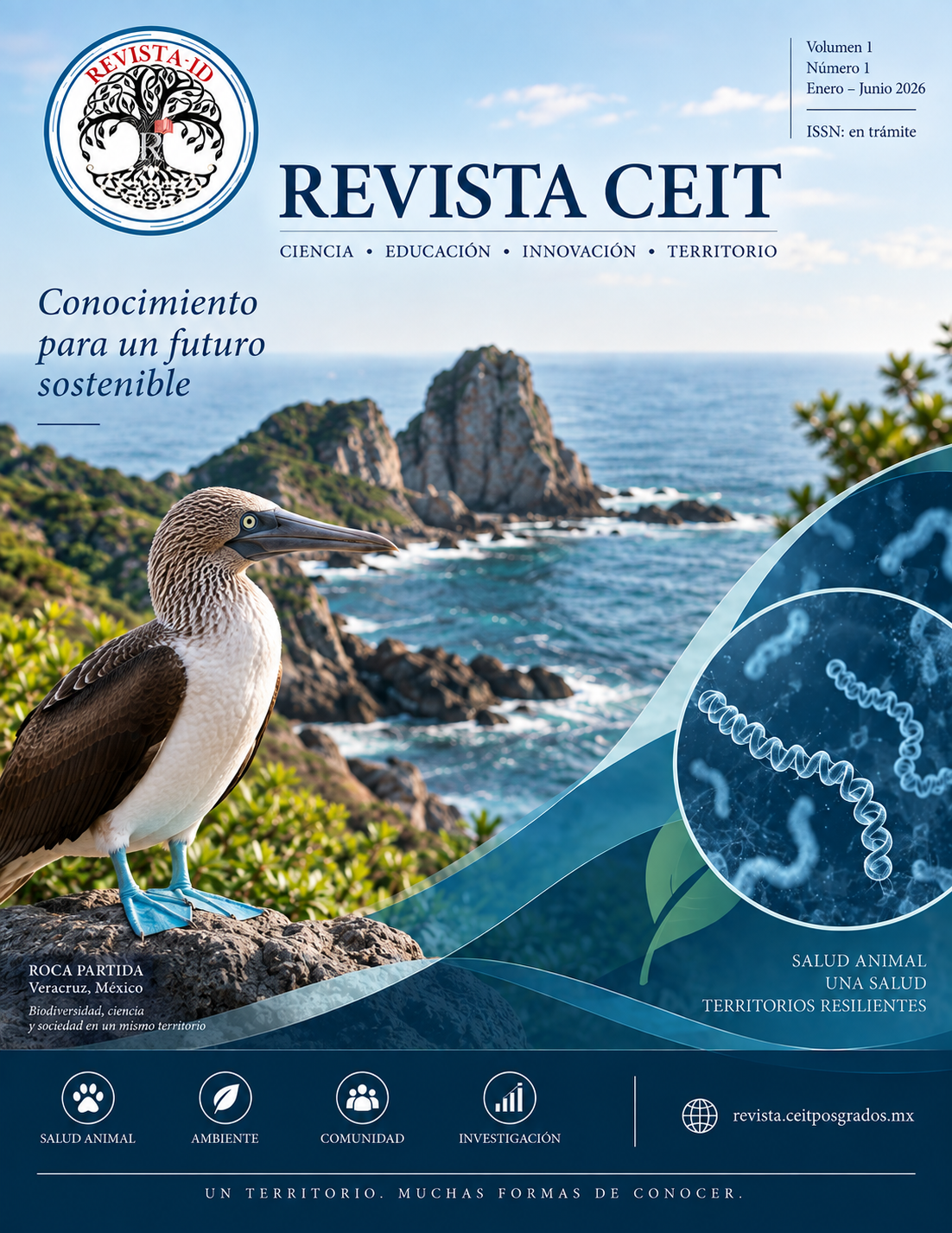 					Ver Vol. 1 Núm. 1 (2026): Título Revista CEIT
				